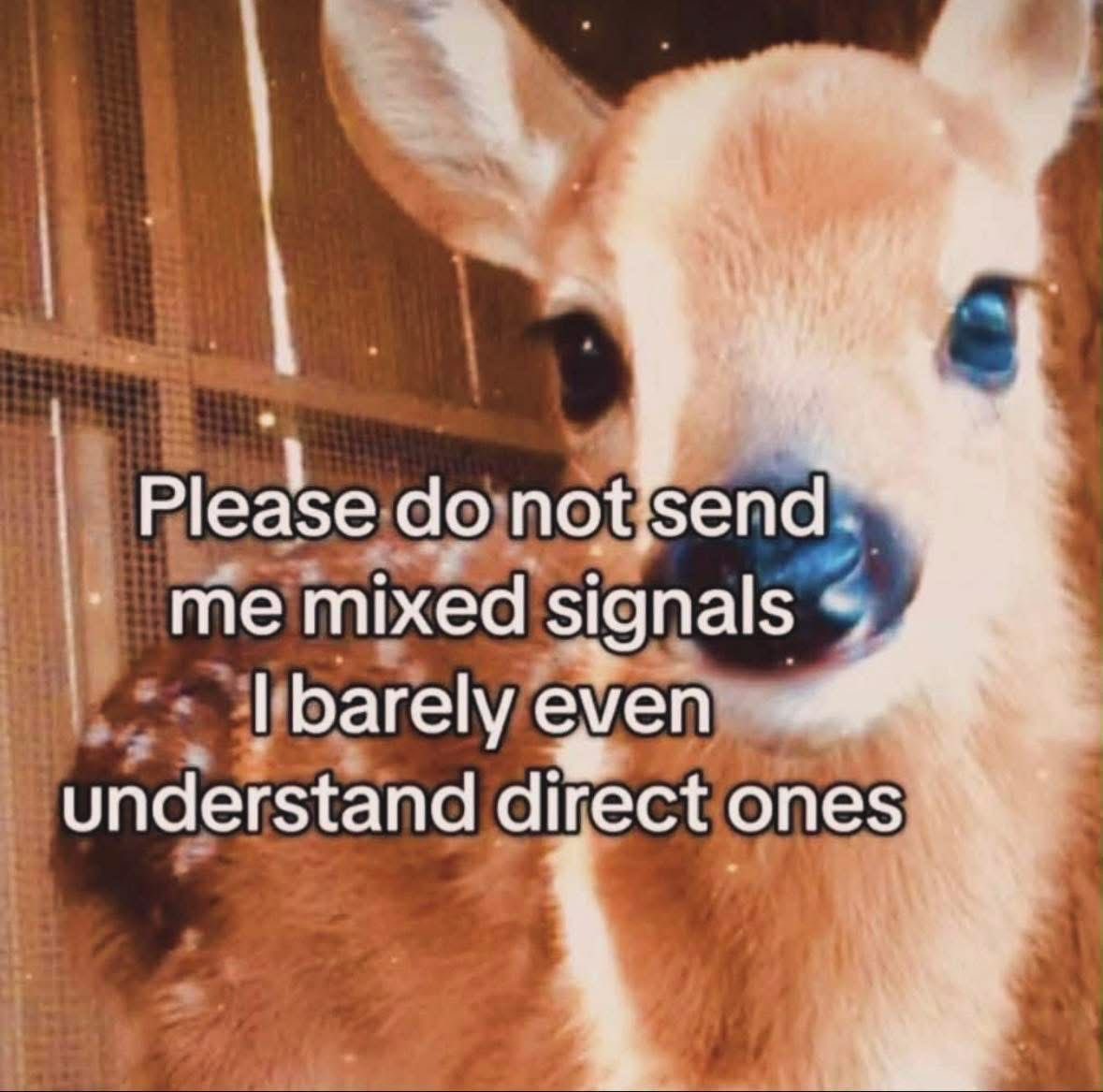 whotfisjovana's tweet image. 