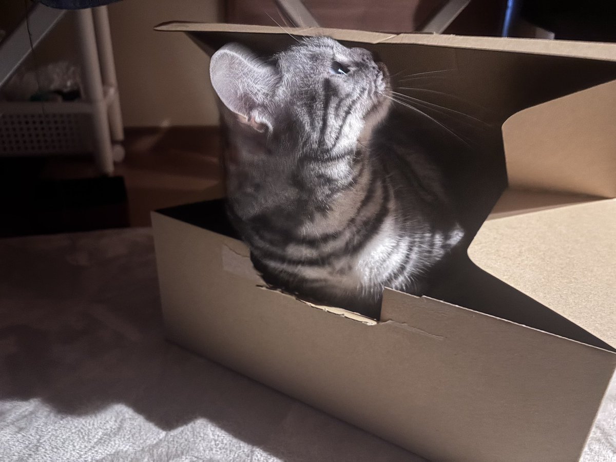 さくちんぱわー 洗面ゴム栓用ボールチェーン：PZ1081｜パーツ：目皿・ゴム栓・排水栓