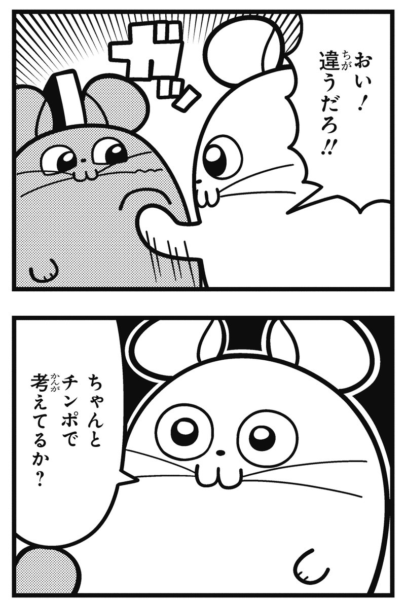 chinchilla_land's tweet image. 