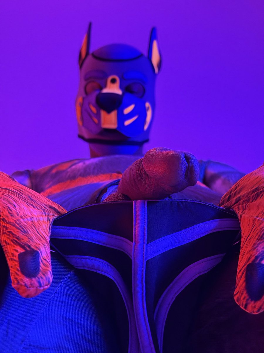 Hi there 😉

📸 : <a href="/The_Happy_Pup/">The Happy Pup</a>