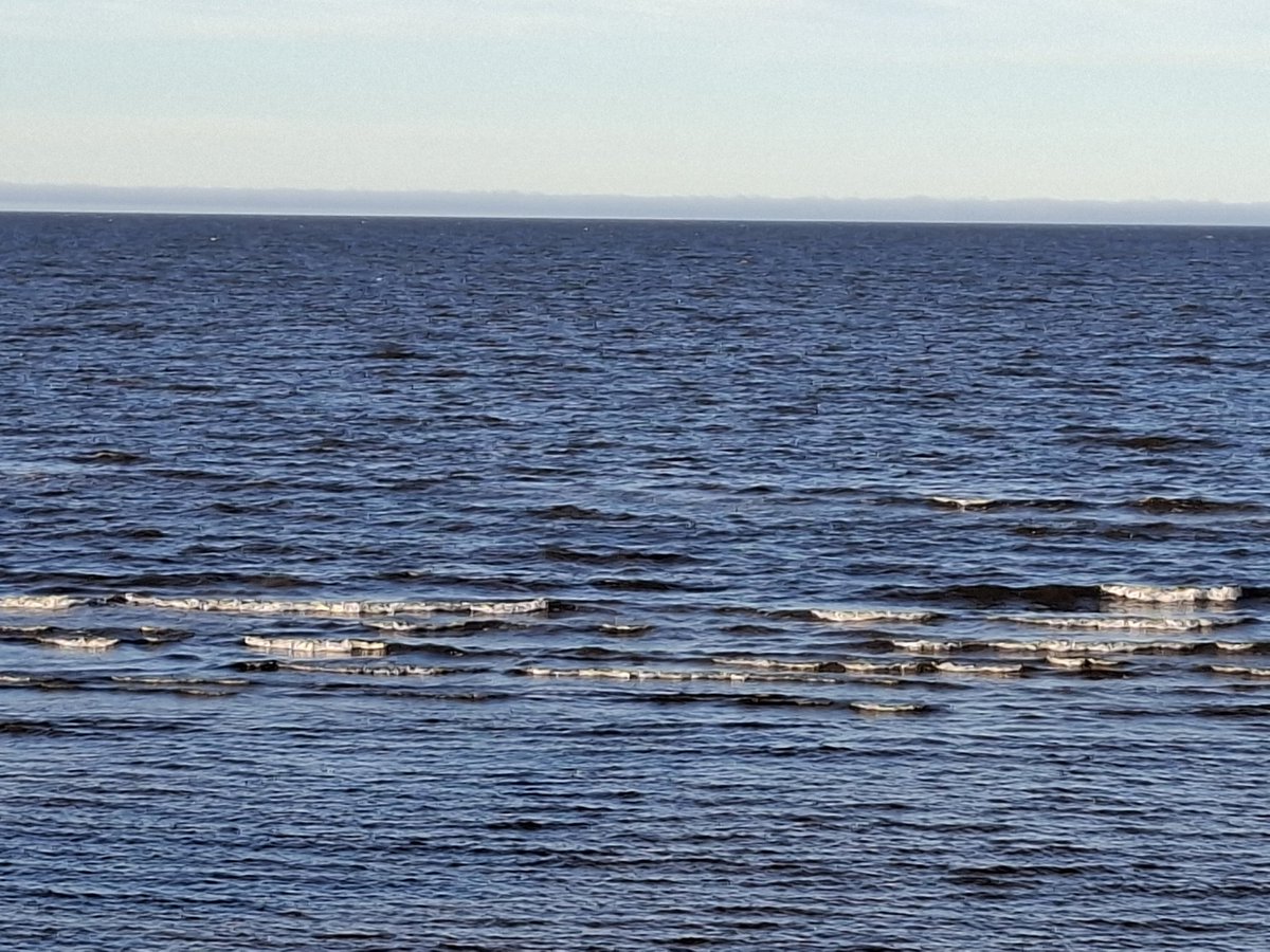 gunitakolle's tweet photo. Otrie Ziemassvētki. Brīnišķīga diena. Igaunija, Kabli jūrmala. 26.12.2025. https://t.co/GPls7LyVPR