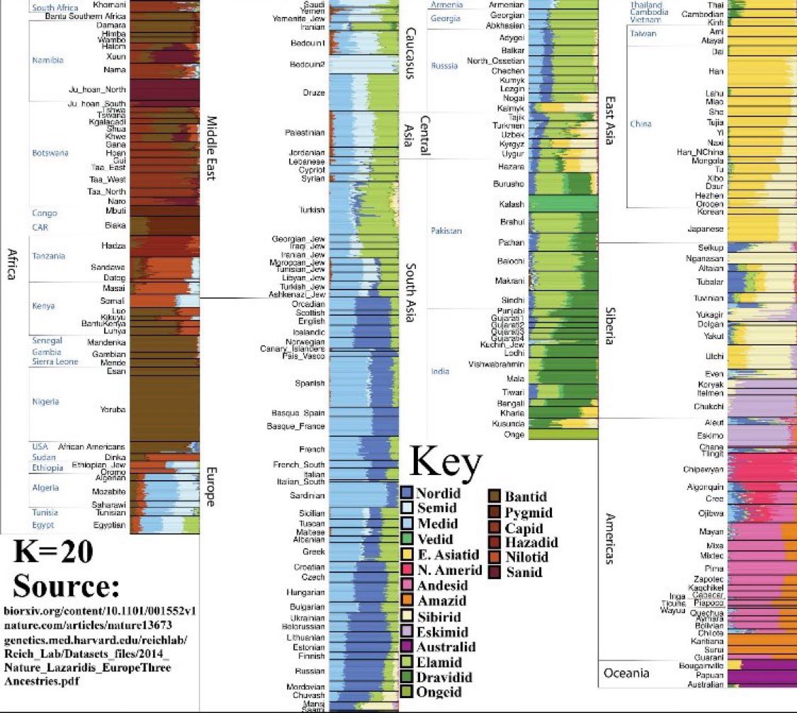 achenar_31's tweet photo. @DawgAndSoul @Haunt0ntology @joeybeastmarket @campnickiana @Catholicizm1 K-means clustering, which contains multiple „ethnicities“, lines up with the generally perceived number of races very well, and… also with the number of isolated large landmasses.
Only since very modern transportation innovations has „race mixing“ occured on a large scale. https://t.co/oaWANvqcdh