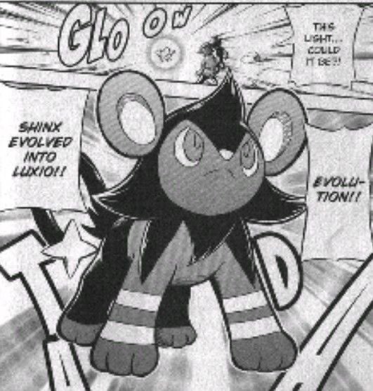 cheezi☆.🐾 tweet media