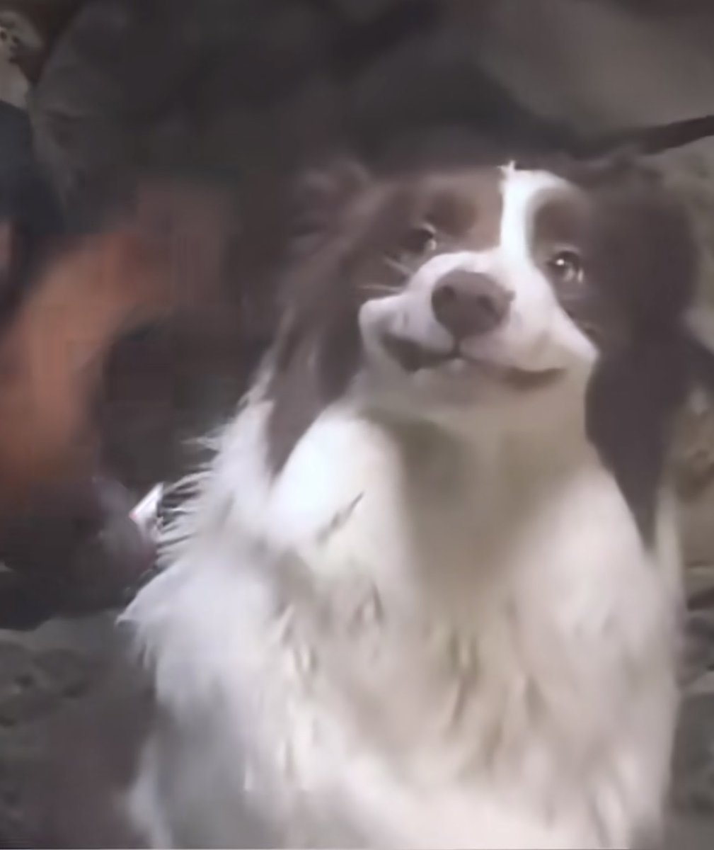 Teetsi Bacon tweet media