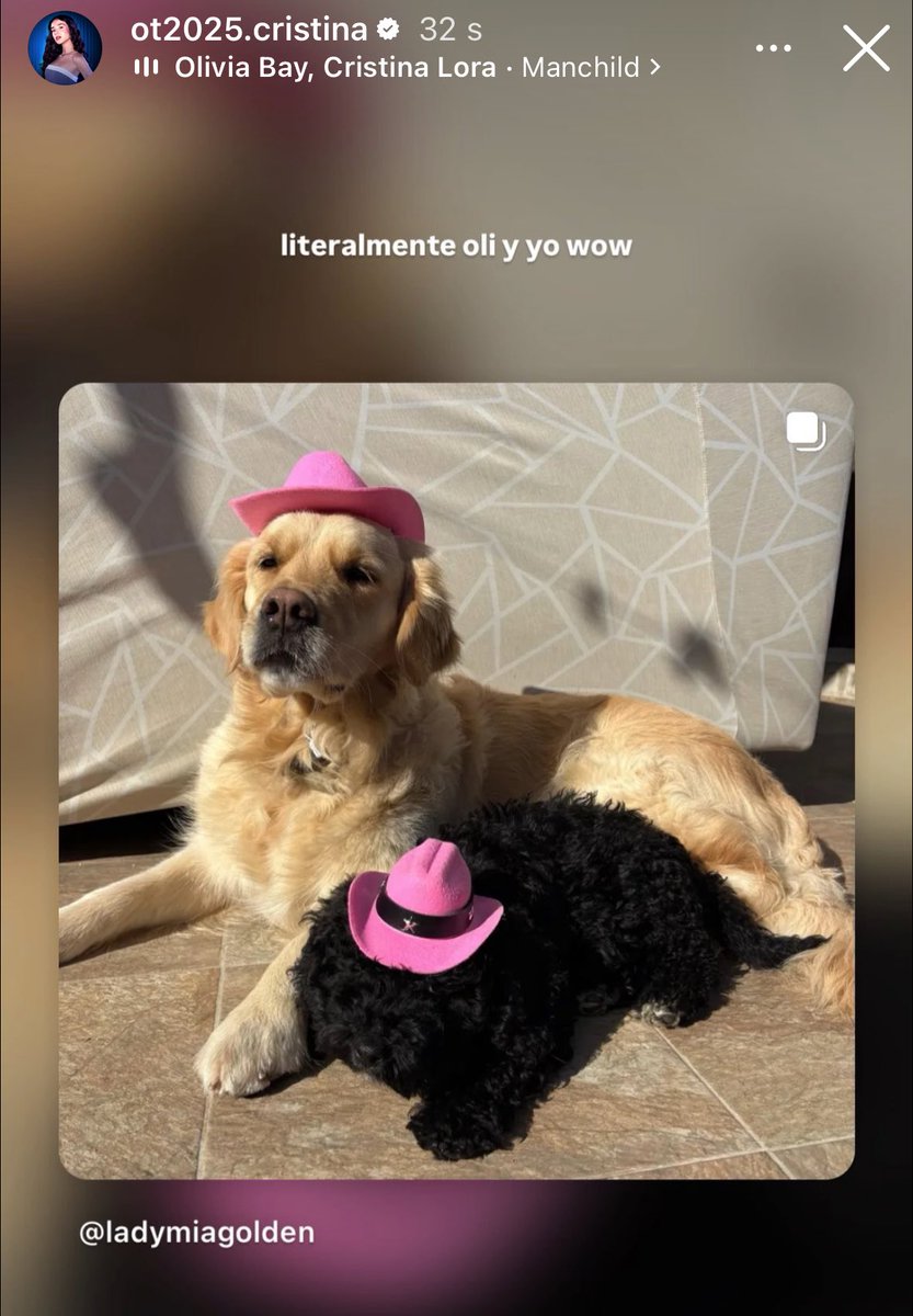 Manelovekivi's tweet image. “Literalmente oli y yo” PERO CRISTINA JAJAJAA