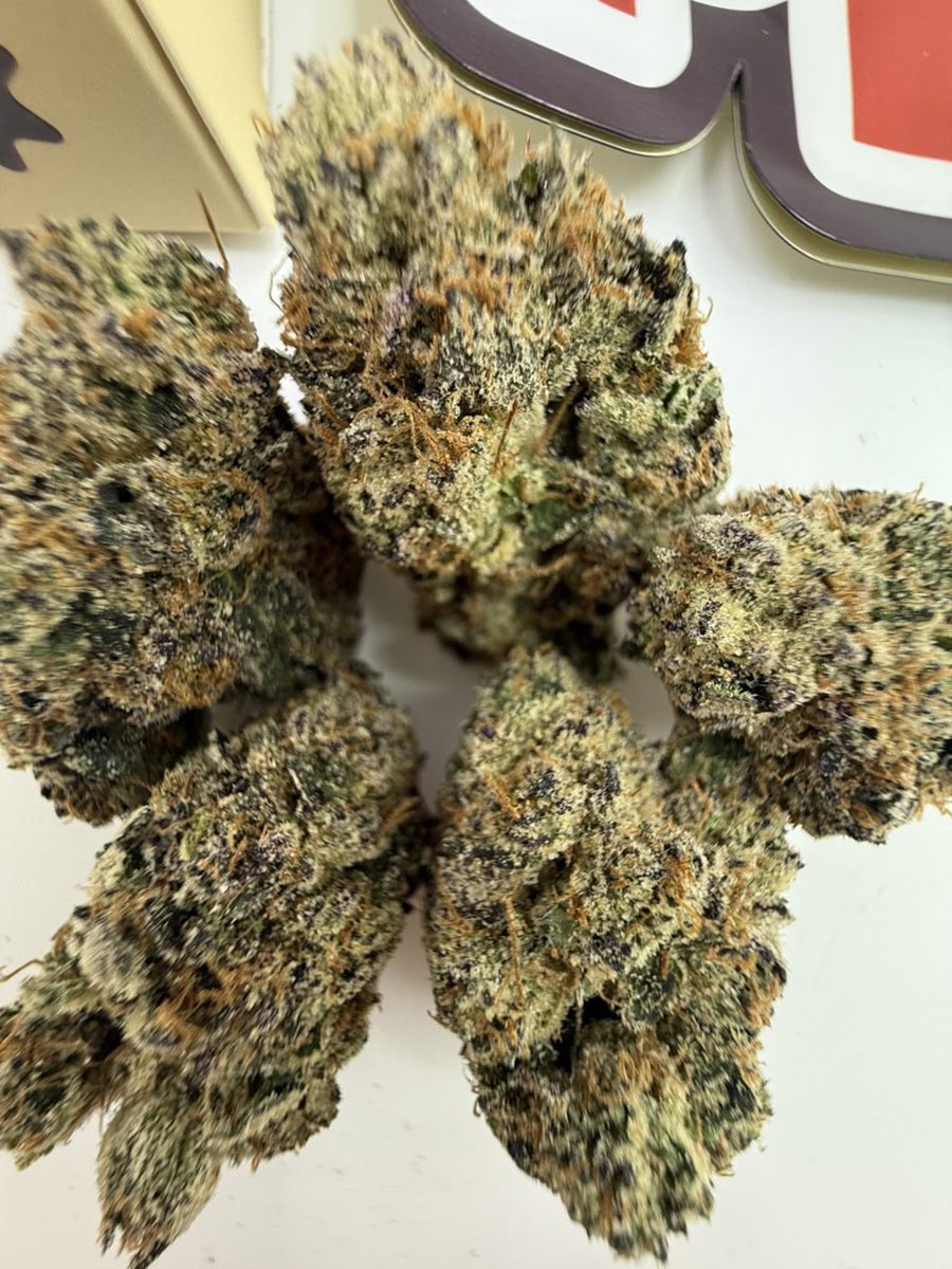 treptraphouse's tweet image. PA WE ACTIVE &amp;amp; STACKED 💨❄️🔥
Got the GAS ⛽, the SNOW ☃️, and EVERYTHING in between — same-day drops goin’ DUMB fast!
Active everywhere:
Philly • Pittsburgh • Harrisburg • Allentown • Erie • Scranton &amp;amp; surrounding
Bio link = instant reply
#PennsylvaniaPlug #PhillyWeed