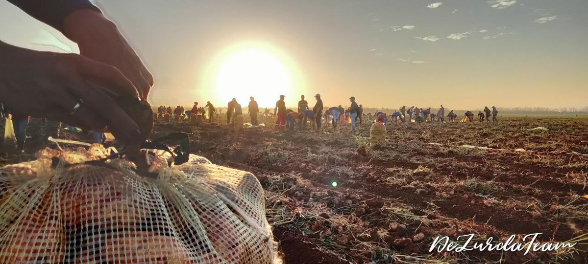 Preservar la Revolución es proteger el derecho a existir con soberanía. Eso no se pide, se ejerce.
#UnPuebloEnRevolución
#DeZurdaTeam