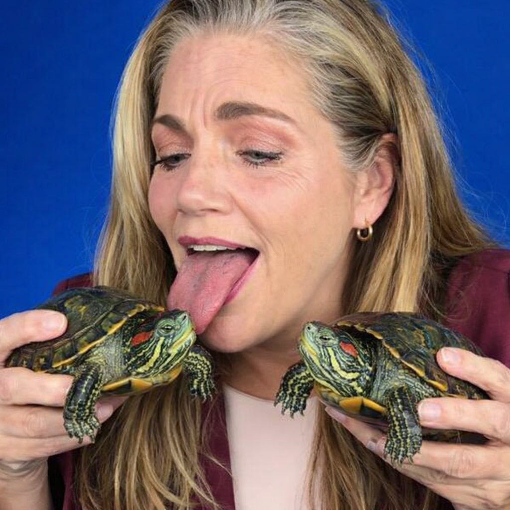 Andieldufrense's tweet image. Someone sent this to me. 
🎯😂
👌🧠 + 🐢💩= 🤢🤮