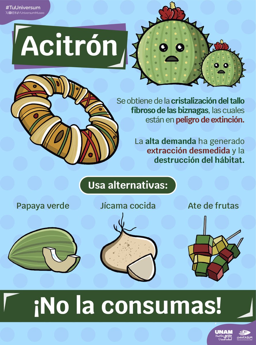 UniversumMuseo's tweet image. Para estas épocas en las que el acitrón suele ser utilizado, ¡consume alternativas!

#TuUniversum