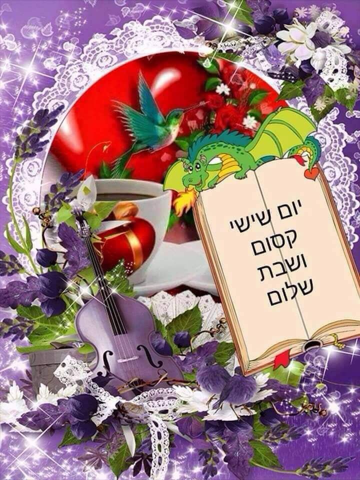 ימנית חילונית פלורליסטית YAELA tweet media