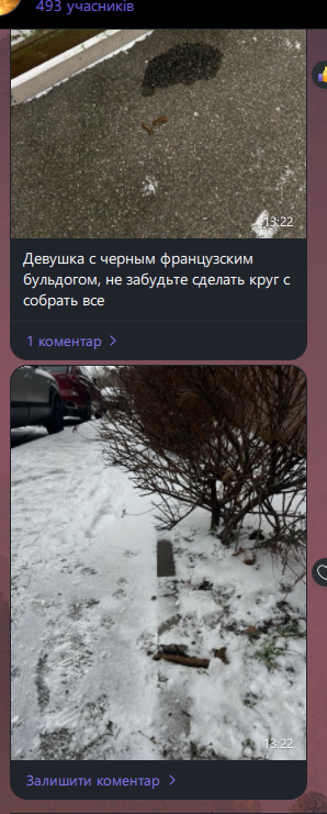магітна бічва tweet media
