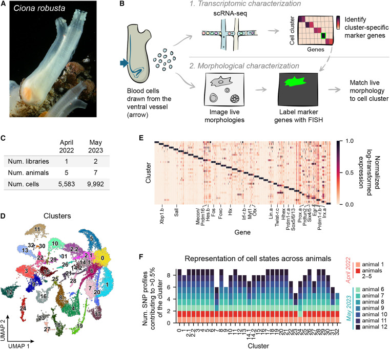Tomas Machacek 🦋 tweet media