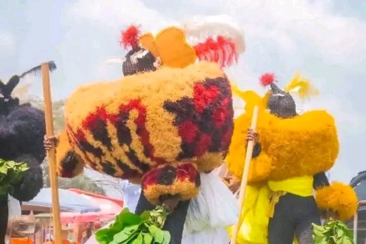 ESIT_07's tweet image. My beloved Okobo😍