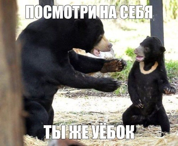 ugwdj00's tweet photo. https://t.co/JPbq0Ecslh