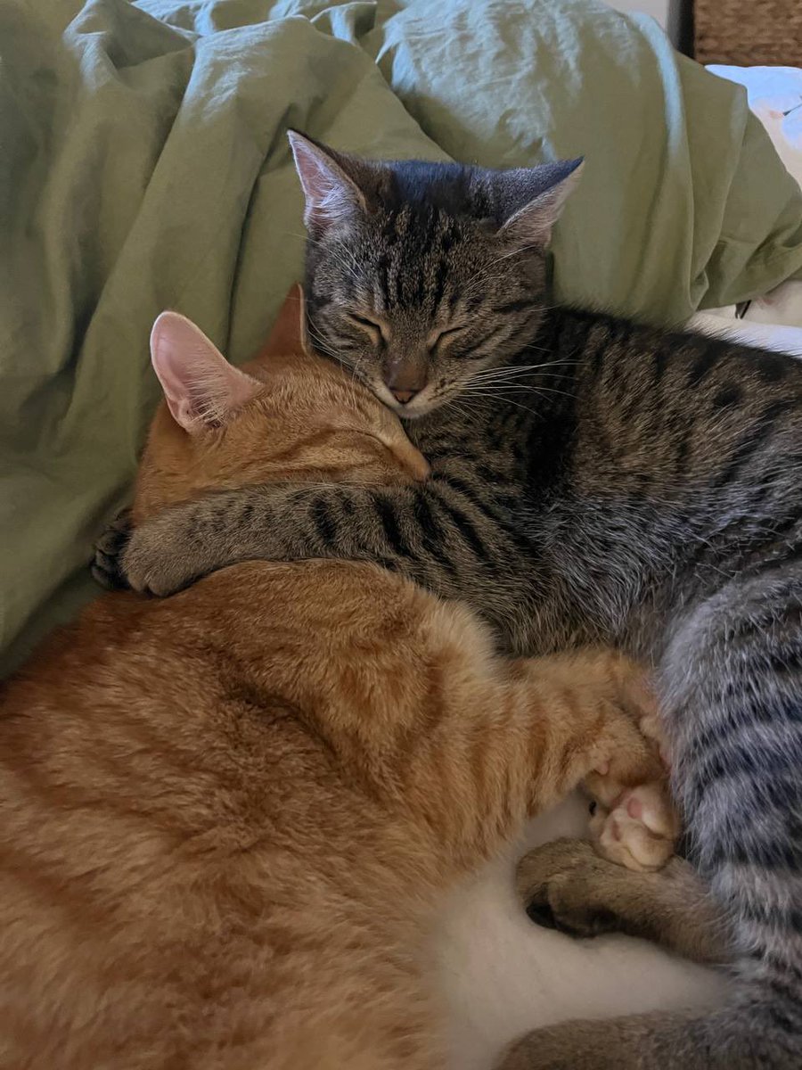 Radoteuse mais pas chiante (@tambareaum) on Twitter photo 