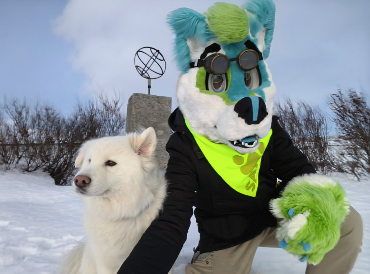 Sam Constantine tweet media