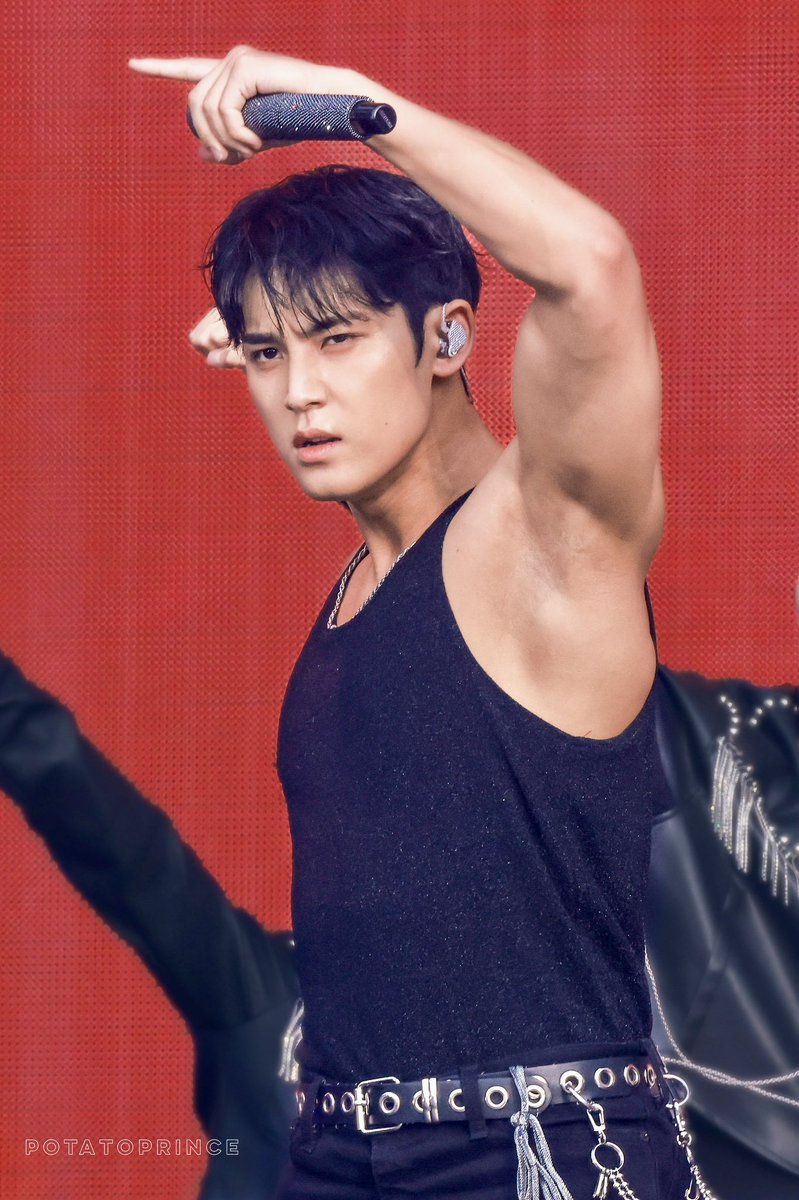 mingyu pits tweet media