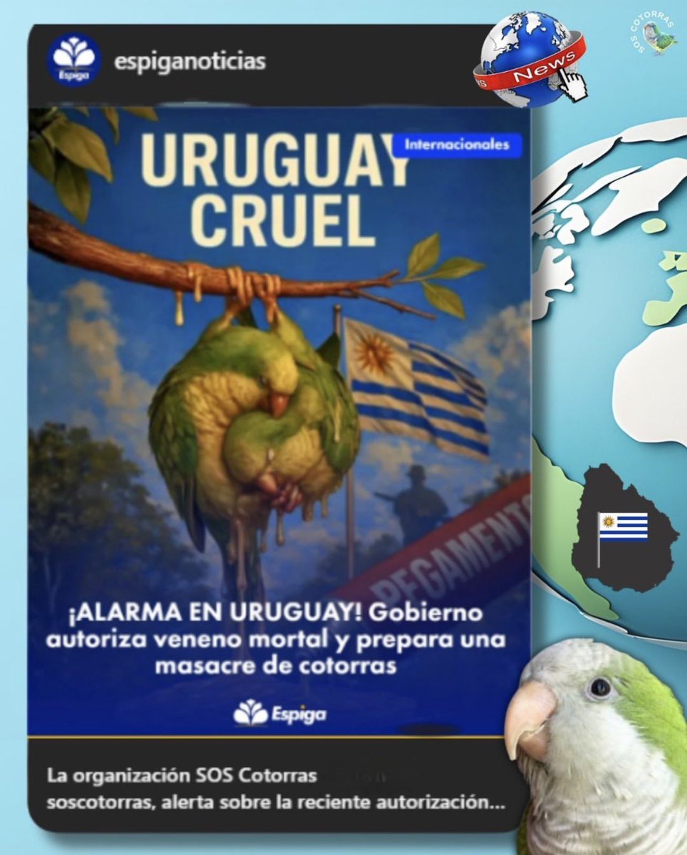 Autorizaron venenos en plenas fiestas esperando silencio. No lo van a tener. Es cruel y pone en riesgo fauna y ambiente.
#NoALaMatanzaDeCotorras #NoAlEnvenenamientoDeFauna

<a href="/camboue/">Sebastian Da Silva</a> <a href="/AlfredoFratti/">Alfredo Fratti</a> <a href="/CarambulaMatias/">Matias Carambula</a> <a href="/OrtunoEdgardo/">Edgardo Ortuño</a> <a href="/MAmbienteuy/">Ministerio de Ambiente</a> <a href="/MGAPUruguay/">MGAP</a>