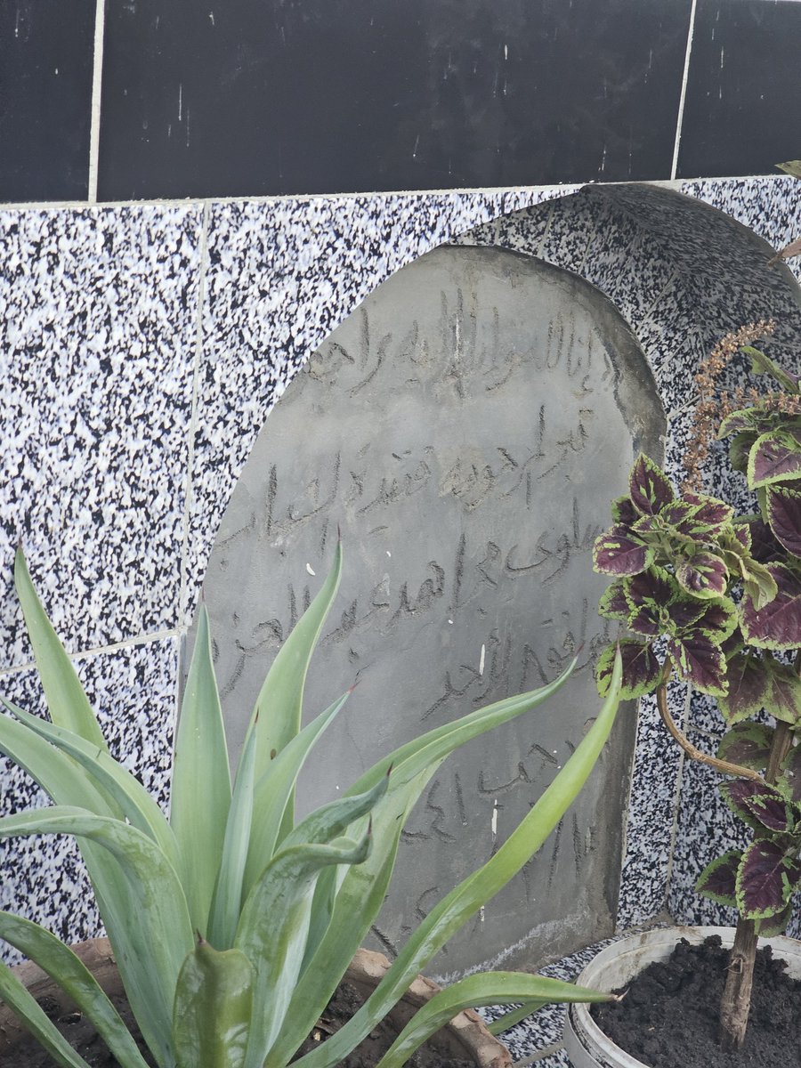 بقيت بنزل البلد مرة كل شهرين تلاتة..وكل مرة تقريبا اقابل واحد او واحدة من قرايبنا اللي مشفتهمش من سنين وأغلبهم معرفهمش اساسا..والكلمة المشتركة بين الجميع بلا استثناء بعد ما يسلم عليا: سبحان الله نسخة من المرحومة بالحرف
من فترة قلت اجرب ترند Gemini واحطنا جنب بعض في صورة جديدة ليا