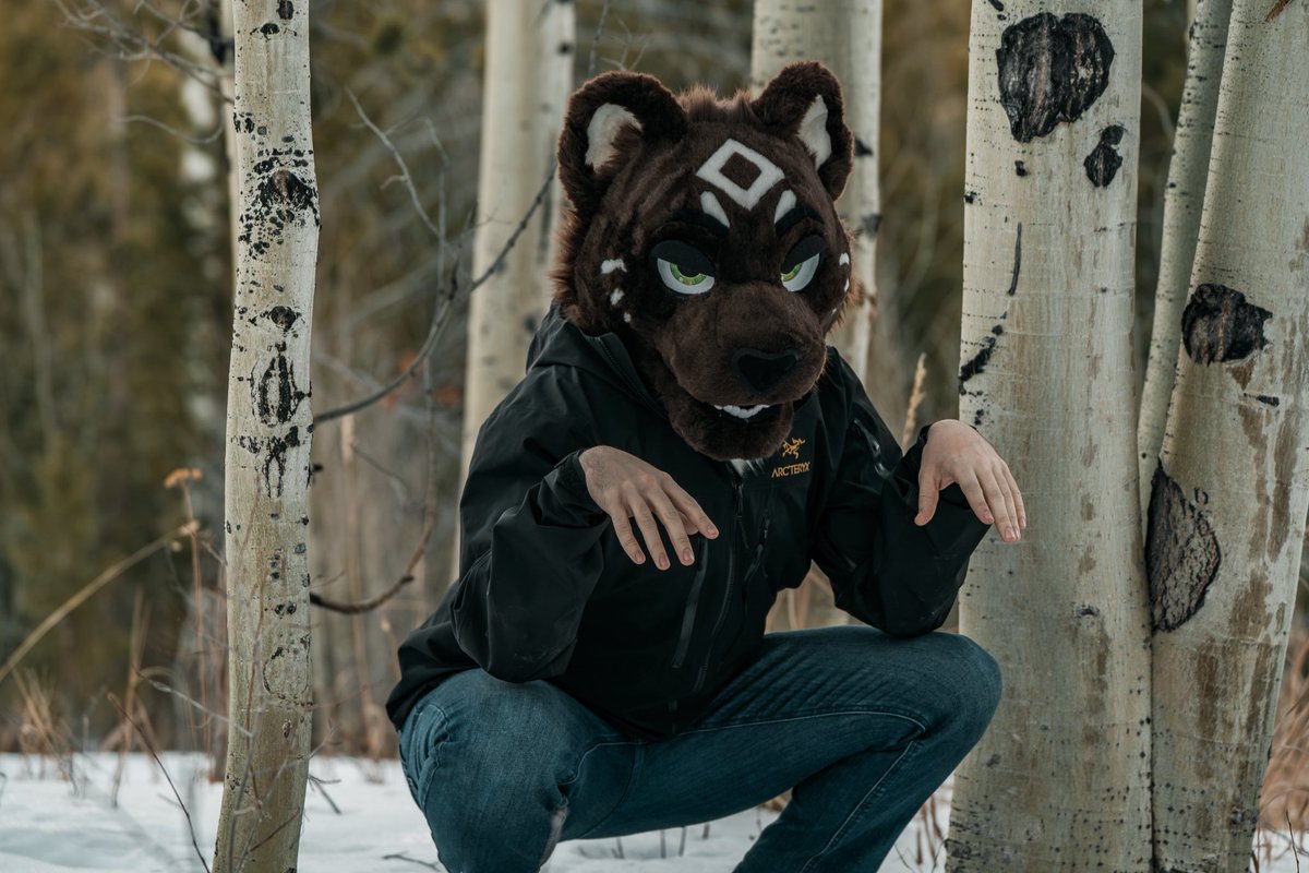 Loki 🔜 TFF tweet media