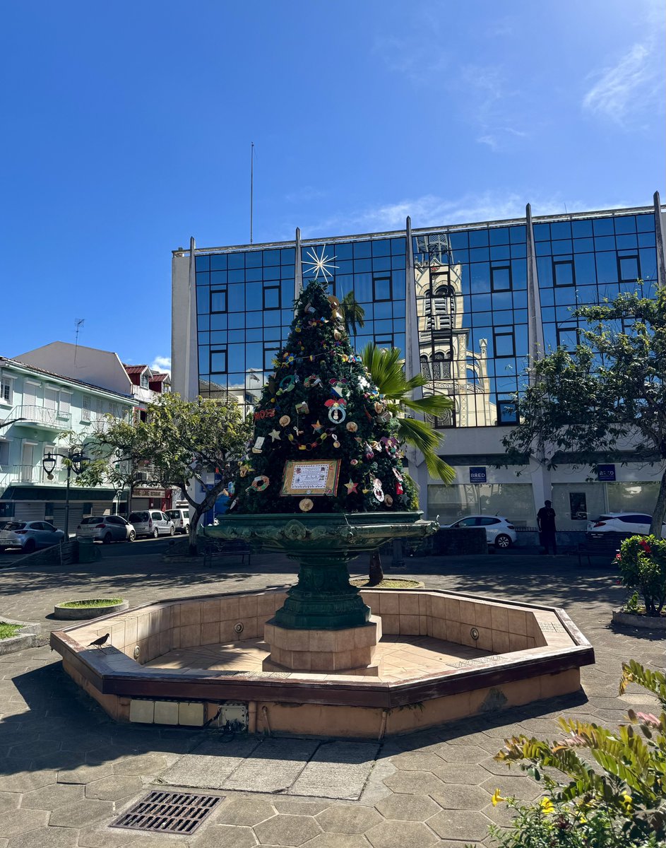 SashaEats's tweet photo. Christmas Day in Martinique 🇲🇶
#SashaSails #RoyalClipper https://t.co/S1pwET5ncc