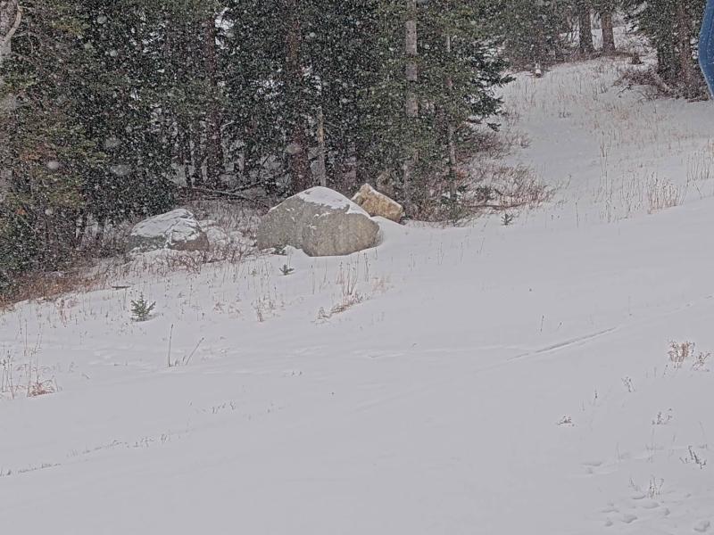 Utah Daily Snow tweet media