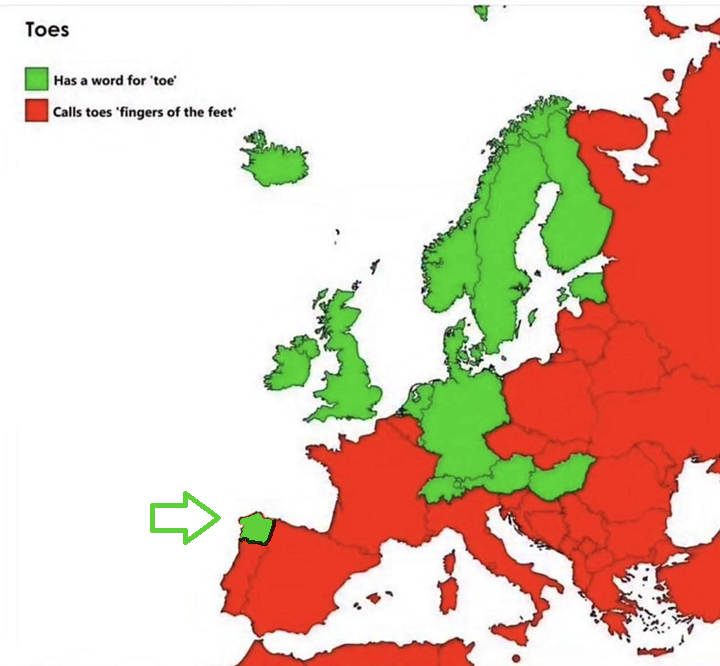 <a href="/vikinghistory/"></a> Galician has a word for toe, 'deda'. So count Galicians as Germanics if you wish.