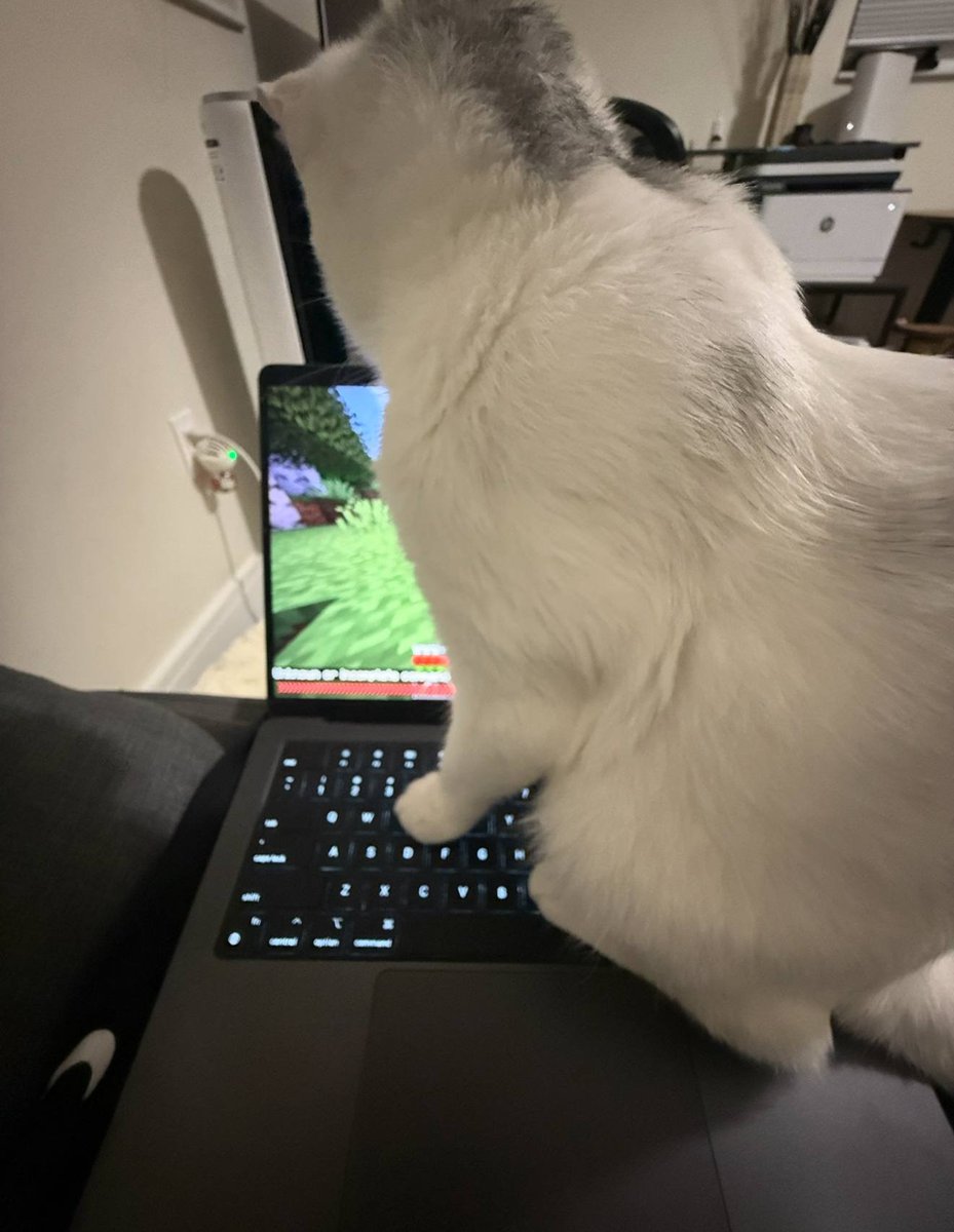 negative zero tweet media