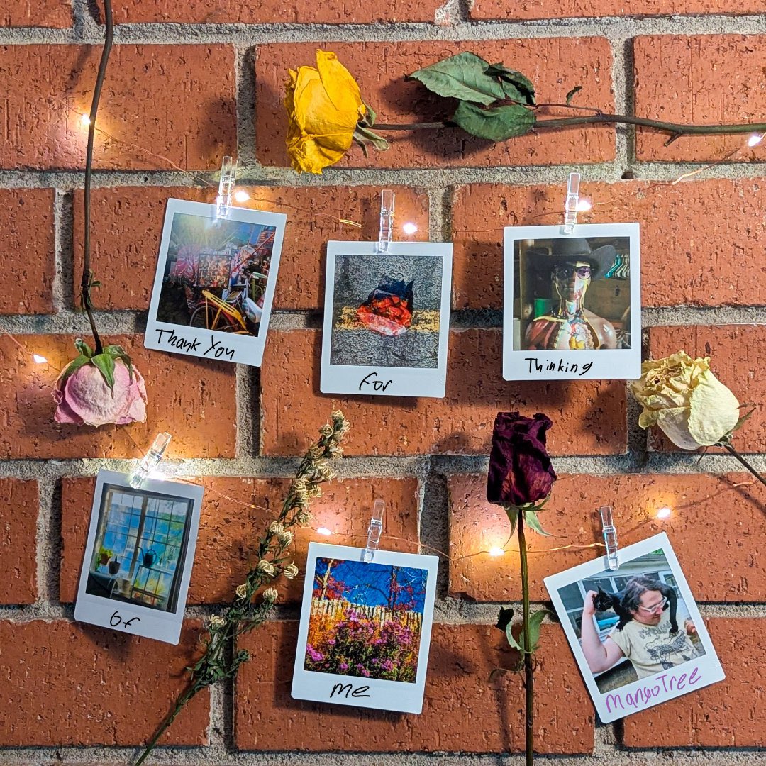 mangotreeband's tweet image. 6 days to go and we are so excited to finally give everyone who waited so patiently over the years a studio release