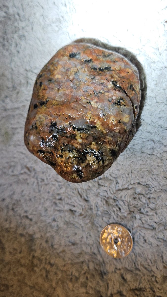 Øystein tweet media