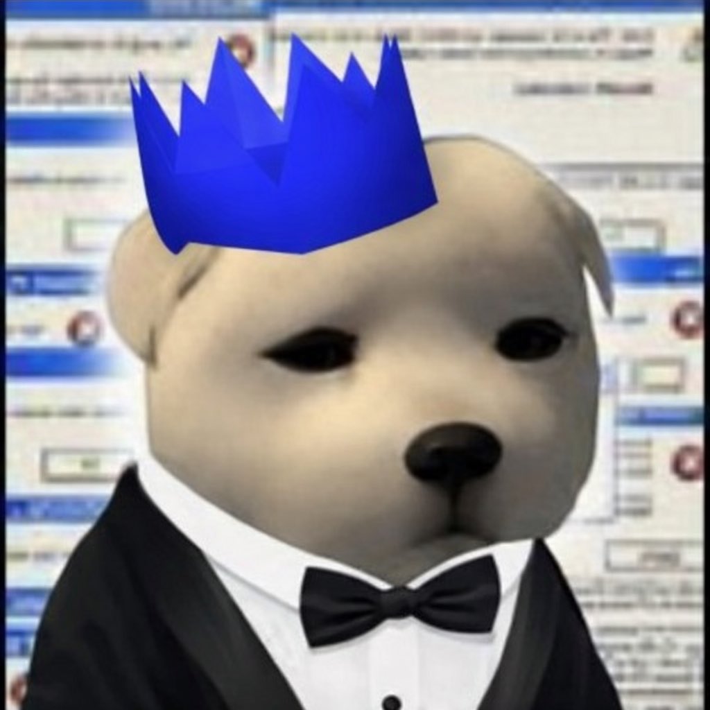 Lambo🐸 tweet media