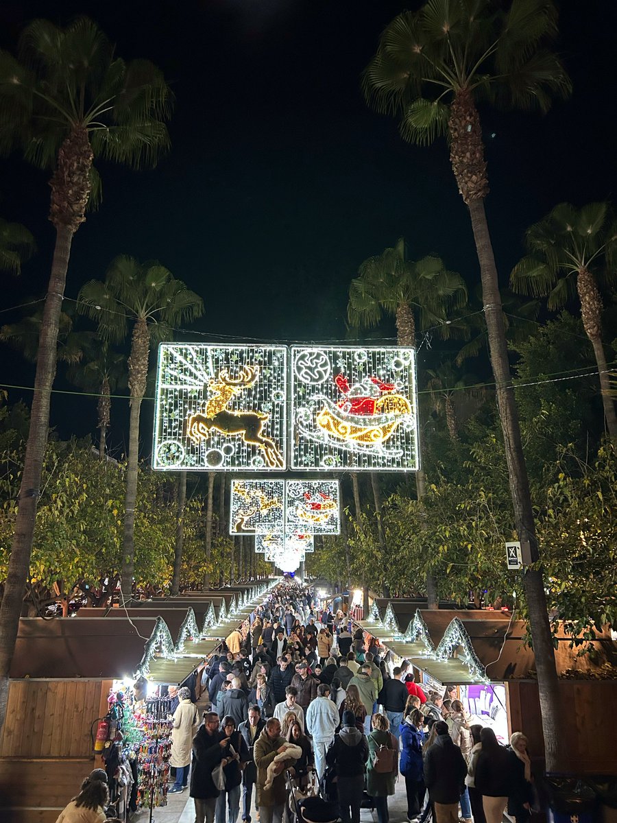 IssurSanchez's tweet image. Almería y sus luces 🎄🎄