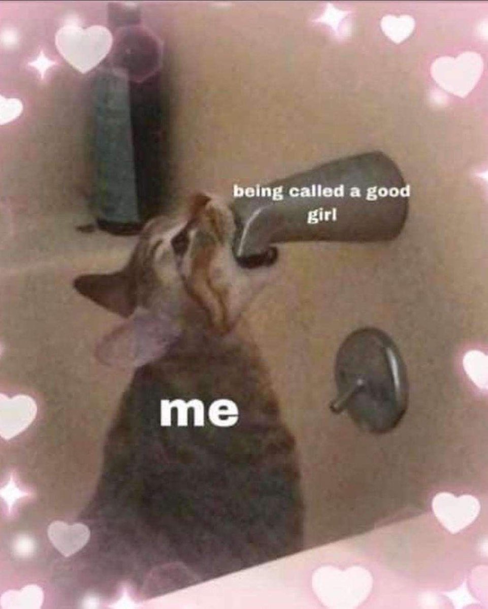 Snapples_VT's tweet photo. Its so meeeee 🥺🥺🥺🥺 https://t.co/ijhO1iSiMN