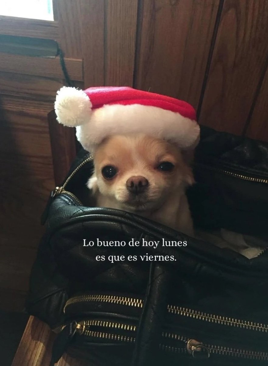 Elizabeth Donoso tweet media