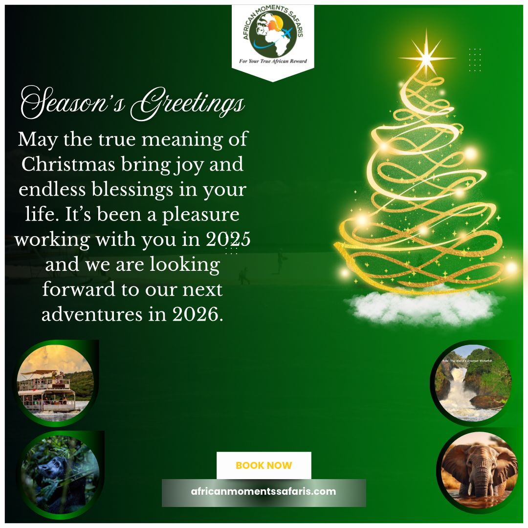 AfricanMoments's tweet photo. Happy holidays from African Moments Safaris! https://t.co/PCMgC6oTJ8