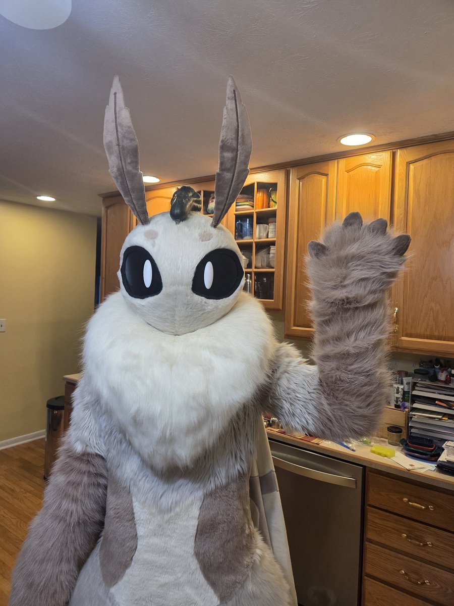 branjueas's tweet image. they call me the gourd balancer

#FursuitFriday