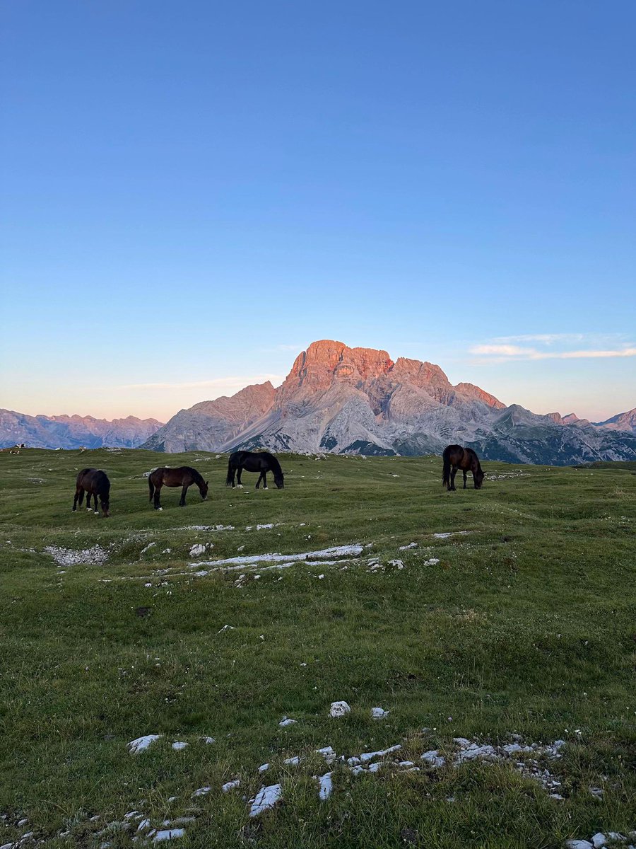 ra77aI's tweet image. 