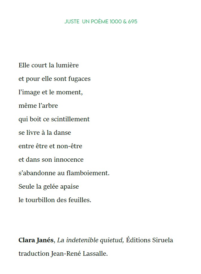 Dominique Angelvy tweet media