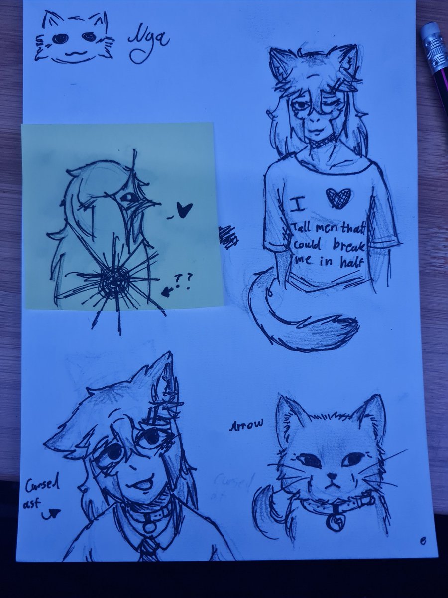 MaineCoonEmmet's tweet image. // Realized that today is Friday so i will finally do another Furball Friday post

Today, you will get random doodles i made in my partners sketchbook