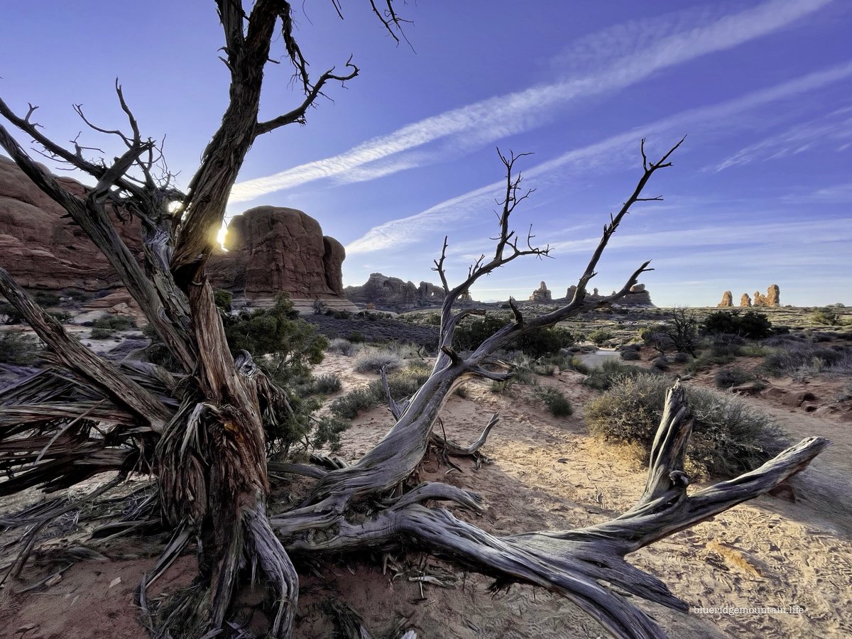 blueridgemountain_man tweet media