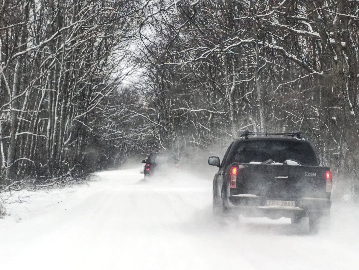 Exen's tweet image. Walka trwa 💪