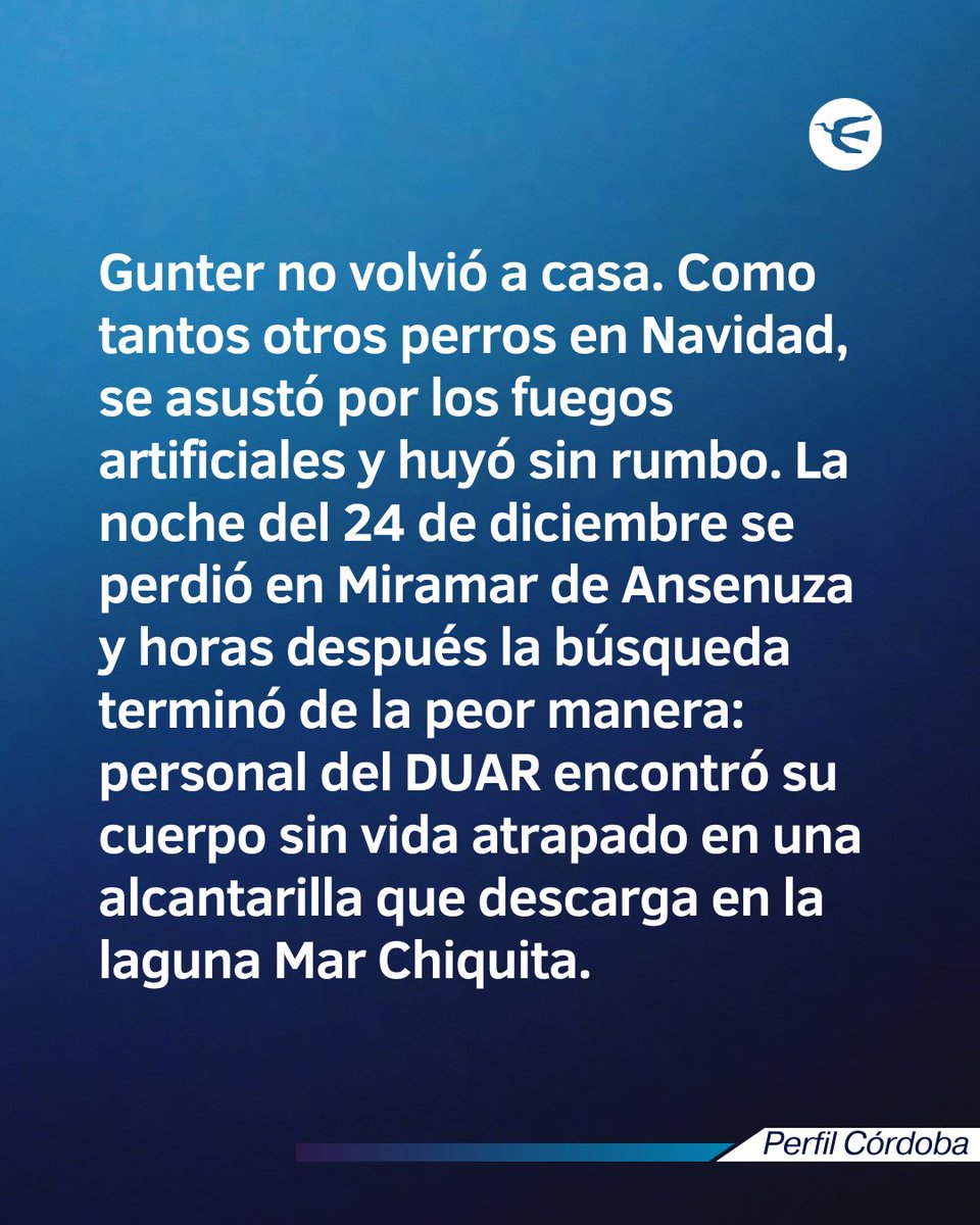 Perfil Córdoba tweet media