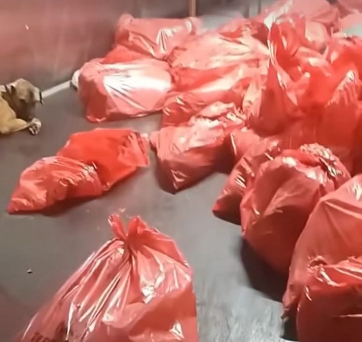 Susmak ortak olmaktır ! 
#AnkaradaKatliamVar