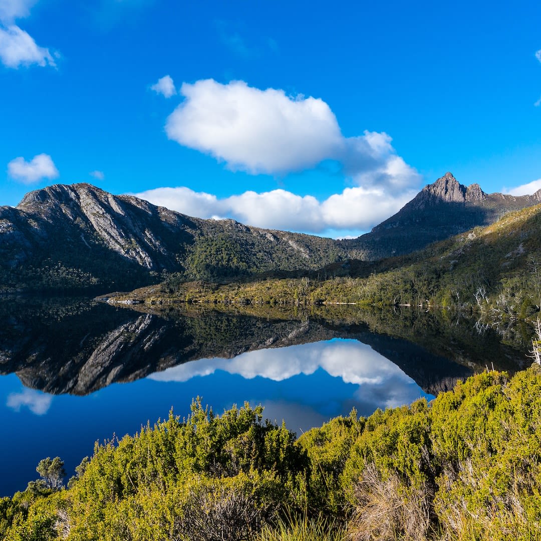 ESomewhere25557's tweet image. Cradle Mountain, Tasmania, rises above Dove Lake with alpine lakes, rainforests &amp;amp; golden autumn slopes. 🏔️ A wilderness for every season — is Tasmania on your list? (970) 852-5322