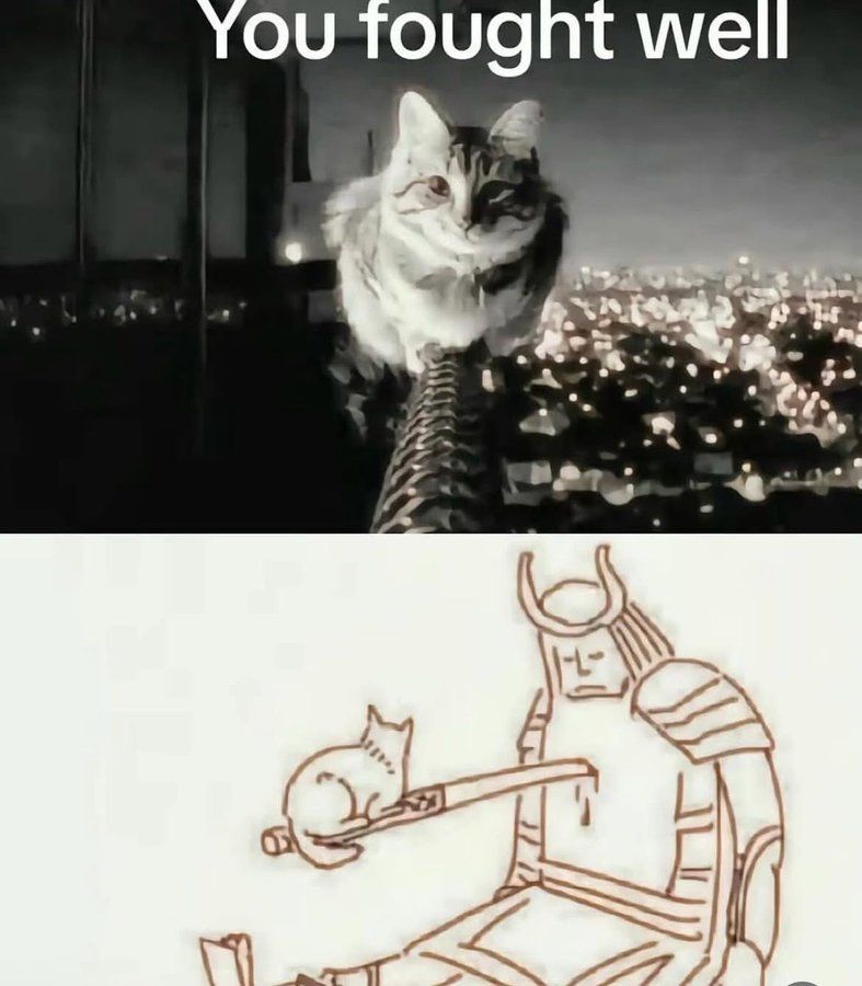 internet hall of fame (@interneth0f) on Twitter photo 