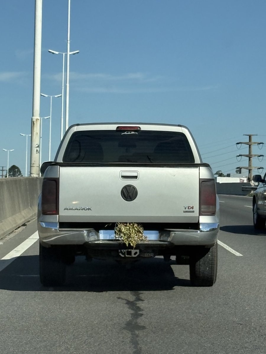 BoludoscnAmarok's tweet photo. AMAROKÍ OLVIDÓ HACERSE LA TIRA DE COLA https://t.co/iuJ2WxNXMn