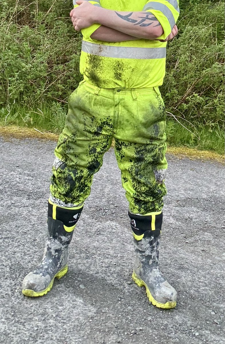 skinheadworkie's tweet image. Orange or yellow?