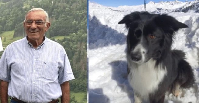 LBleuBlancRouge's tweet image. 🚨 AVIS DE RECHERCHE ! 

Gaspar Alvaro est un homme de 86 ans porté disparu depuis le 24 décembre 2025 à Queige, en Savoie.

Il séjournait chez sa fille aux Petits Barrioz, au-dessus du village. Il est sorti vers 16h30-17h45 pour vider les poubelles, accompagné de son border…