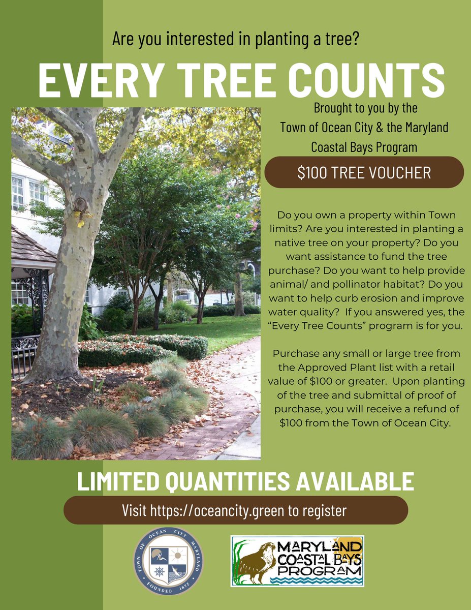 🌳 Investing in greener growth!
Ocean City residents can get a $100 voucher to plant a mature tree through the Every Tree Counts program.  A partnership between the Town &amp; Maryland Coastal Bays Program.
A small step toward big community impact.
oceancity.green/programs