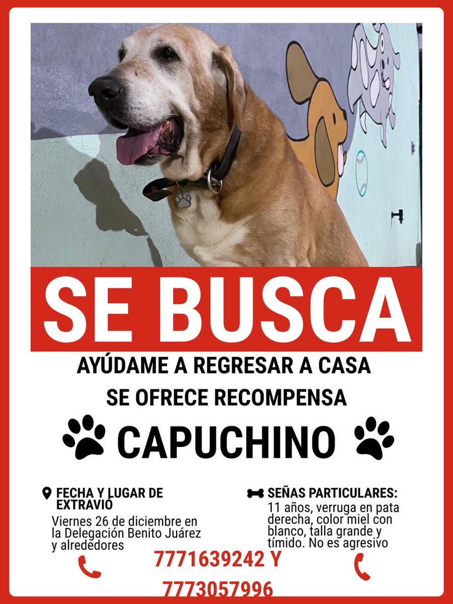 <a href="/En_laDelValle/">En la Del Valle</a>  <a href="/Delvalle_Quejas/">Del Valle Reportes</a>  <a href="/NarvarteVecinos/">Del Valle/Narvarte Unidos 🌳🌺</a>  <a href="/ParqueVenados/">Parque de los Venados</a>  <a href="/BJAlcaldia/">Alcaldía de Benito Juárez</a>